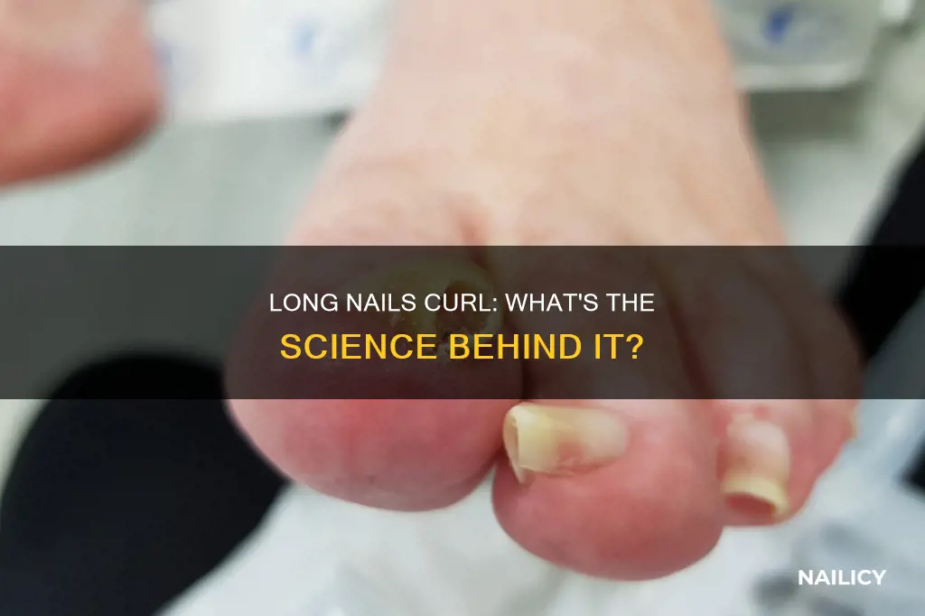 why do long nails curl