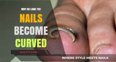 Long Toenails: Why They Curve and How to Prevent It