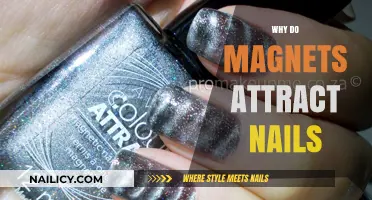 Why Magnets Attract Nails: Unraveling the Magnetic Mystery Behind It