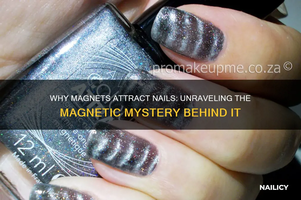 why do magnets attract nails