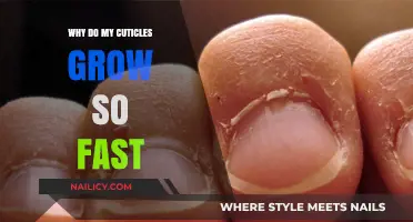 The Mystery of Rapid Cuticle Growth