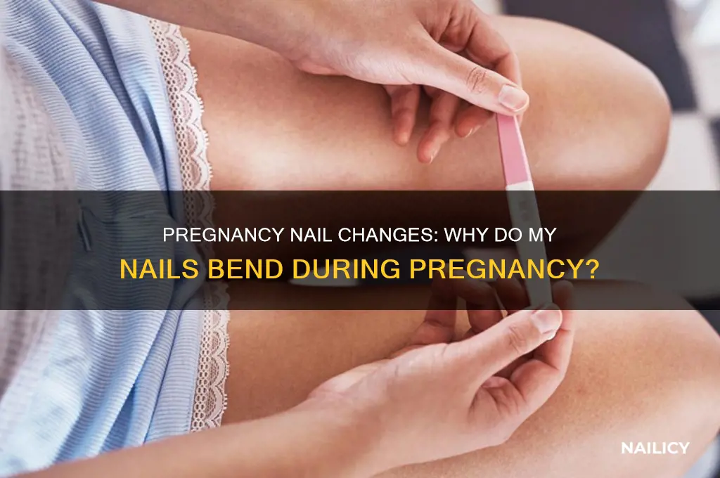 why do my nails bend while pregnant