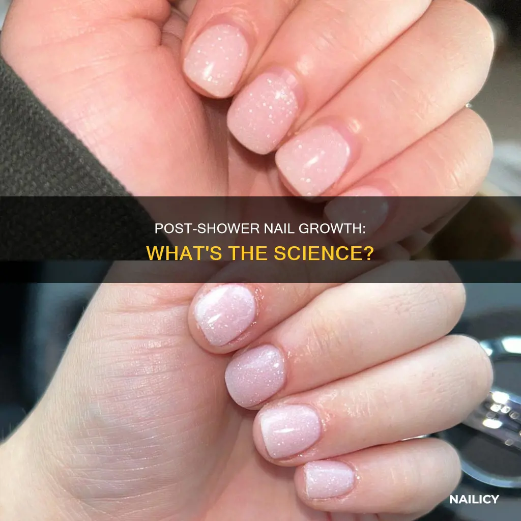 why do my nails grow after a shower