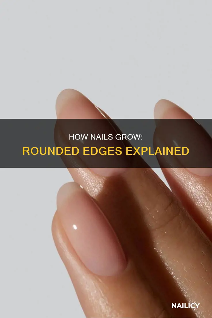 why do my nails grow round