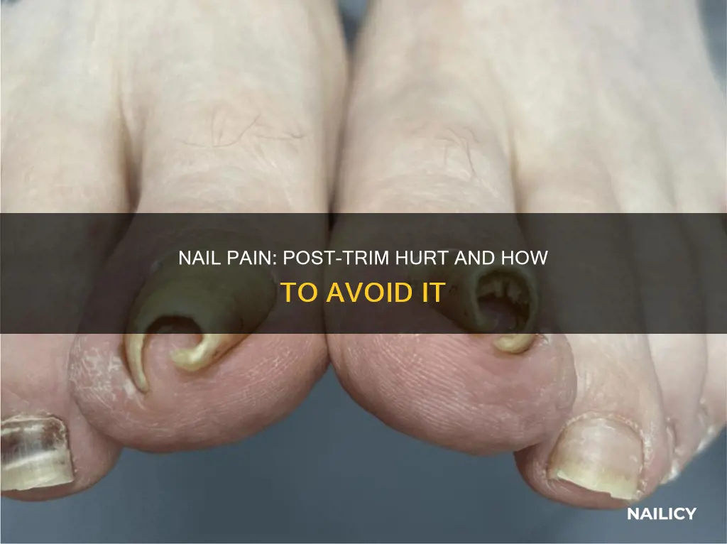 why do my nails hurt after cutting them