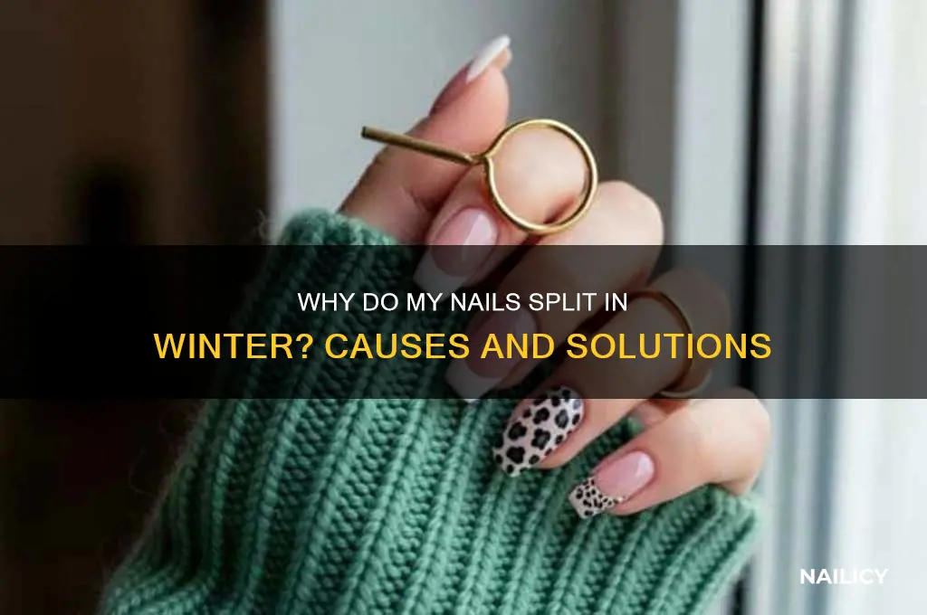 why do my nails split in winter