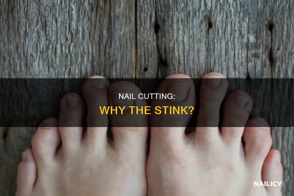 why do my nails stink after i cut them