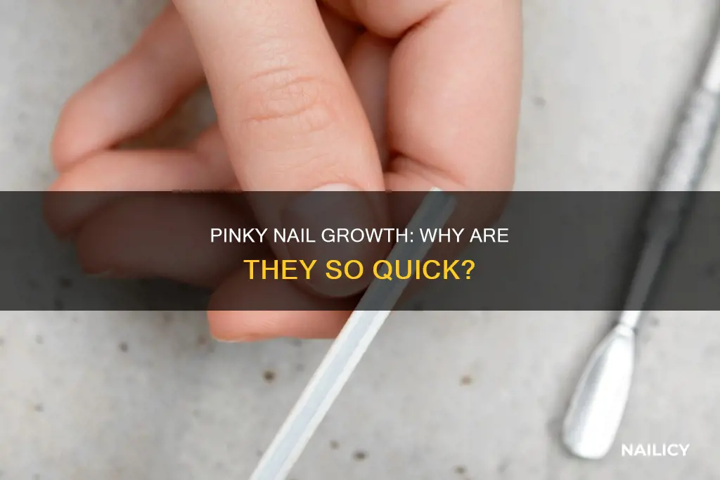 why do my pinky nails grow faster