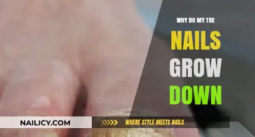 Toe Nails: Why They Grow Downward