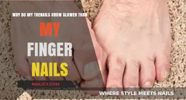 Toenail Growth: Why Slower Than Fingernails?