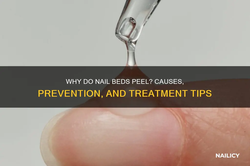 why do nail beds peel