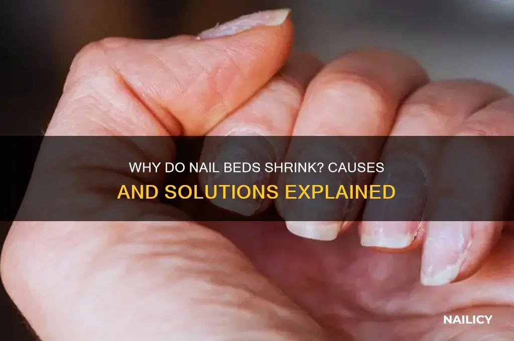 why do nail beds shrink
