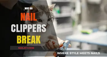Why Nail Clippers Break: Common Causes and Prevention Tips