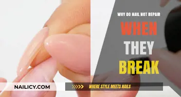 Why Broken Nails Don't Heal: Understanding Nail Repair Limitations
