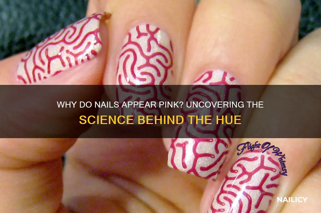 why do nails appear pink