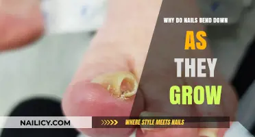 How Nails Bend: Growth and Curve
