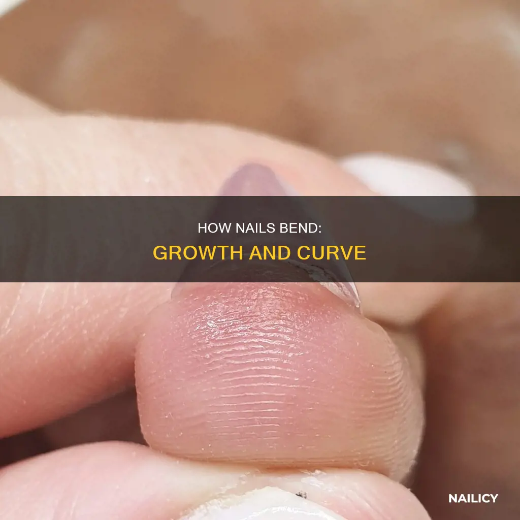 why do nails bend down as they grow