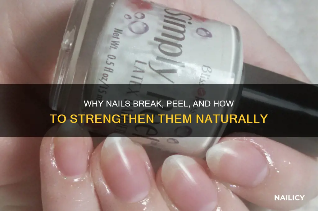 why do nails break off and peal