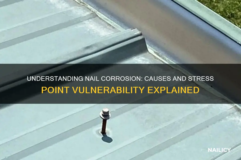 why do nails corrode at points of stress