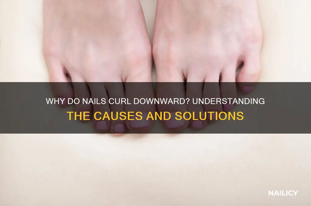 why do nails curl downward