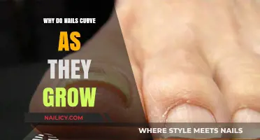 How Nails Curve: The Science Behind It