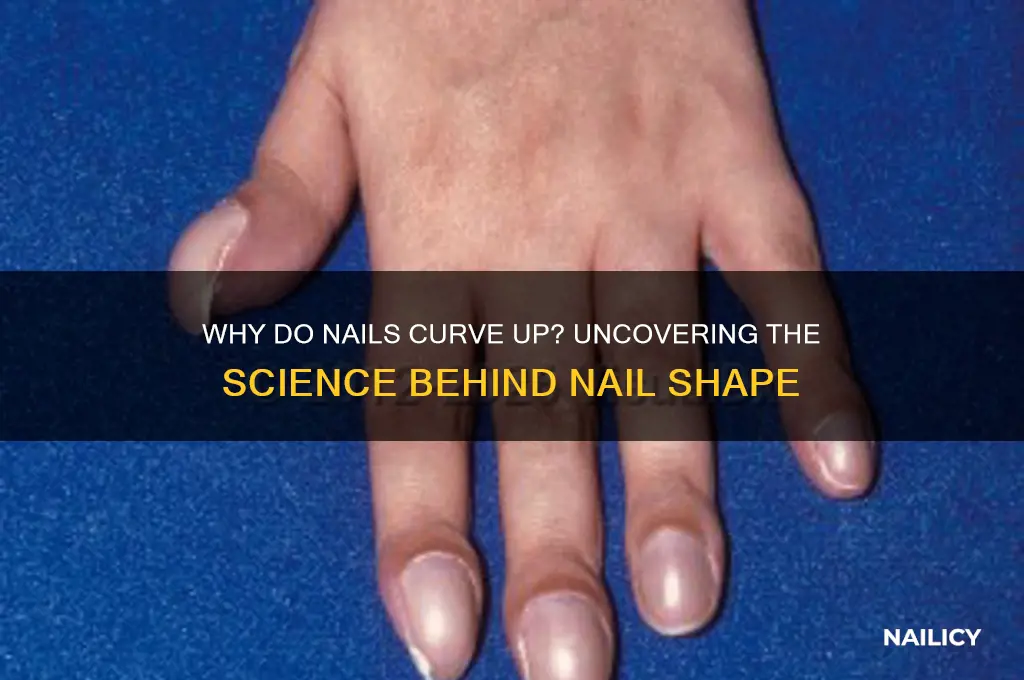 why do nails curve up