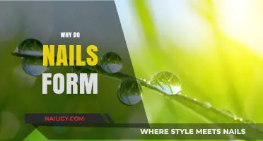 Understanding Nail Formation: The Science Behind Why Nails Grow