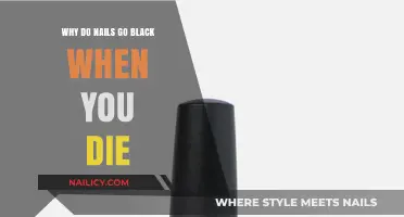 Why Nails Turn Black After Death: The Science Explained