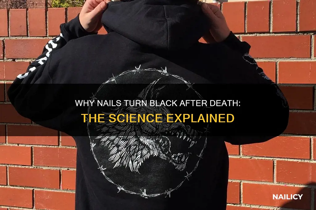why do nails go black when you die
