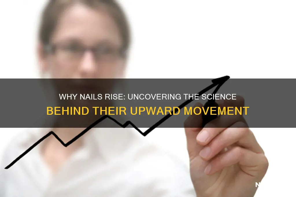 why do nails go up