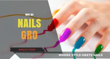 Why Do Nails Grow? Uncovering the Science Behind Nail Growth