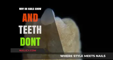 The Mystery Behind Nail and Tooth Regeneration