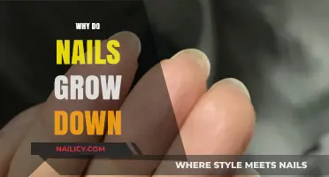 How Nails Grow: The Downward Growth Mystery