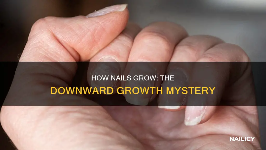 why do nails grow down