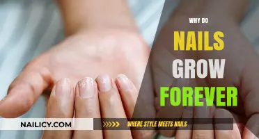 How Nails Keep Growing: The Science Behind It