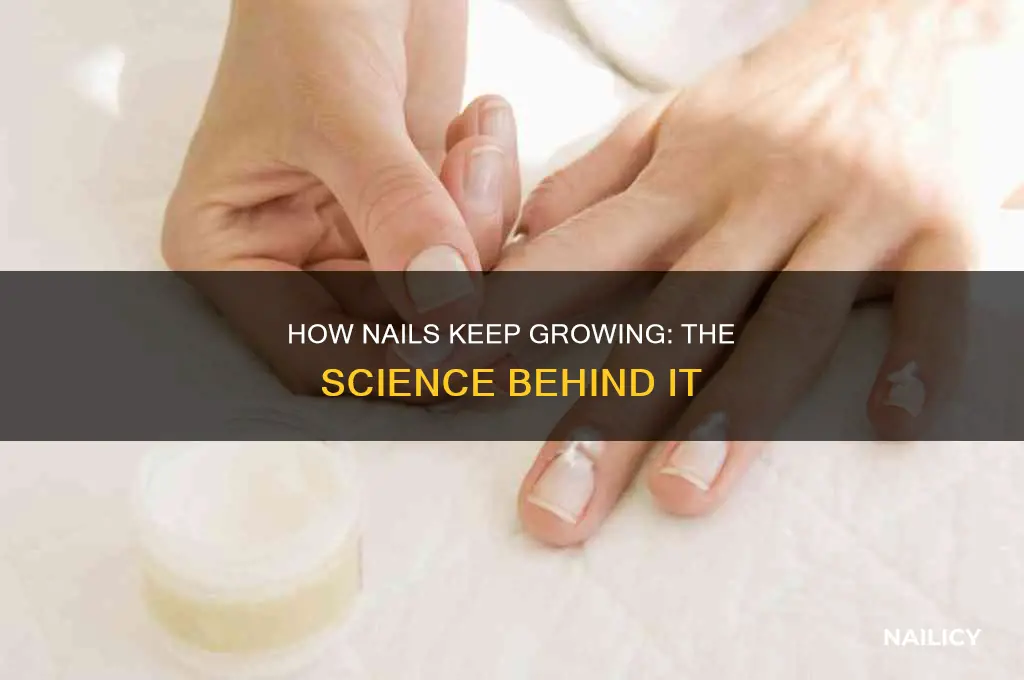 why do nails grow forever