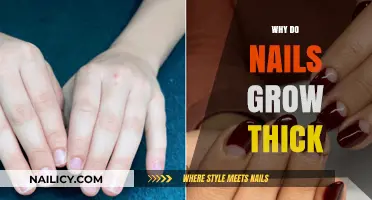 How Thick Nails Grow: Reasons and Remedies
