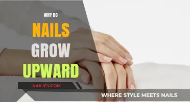 How Nails Grow: The Upward Trend Explained