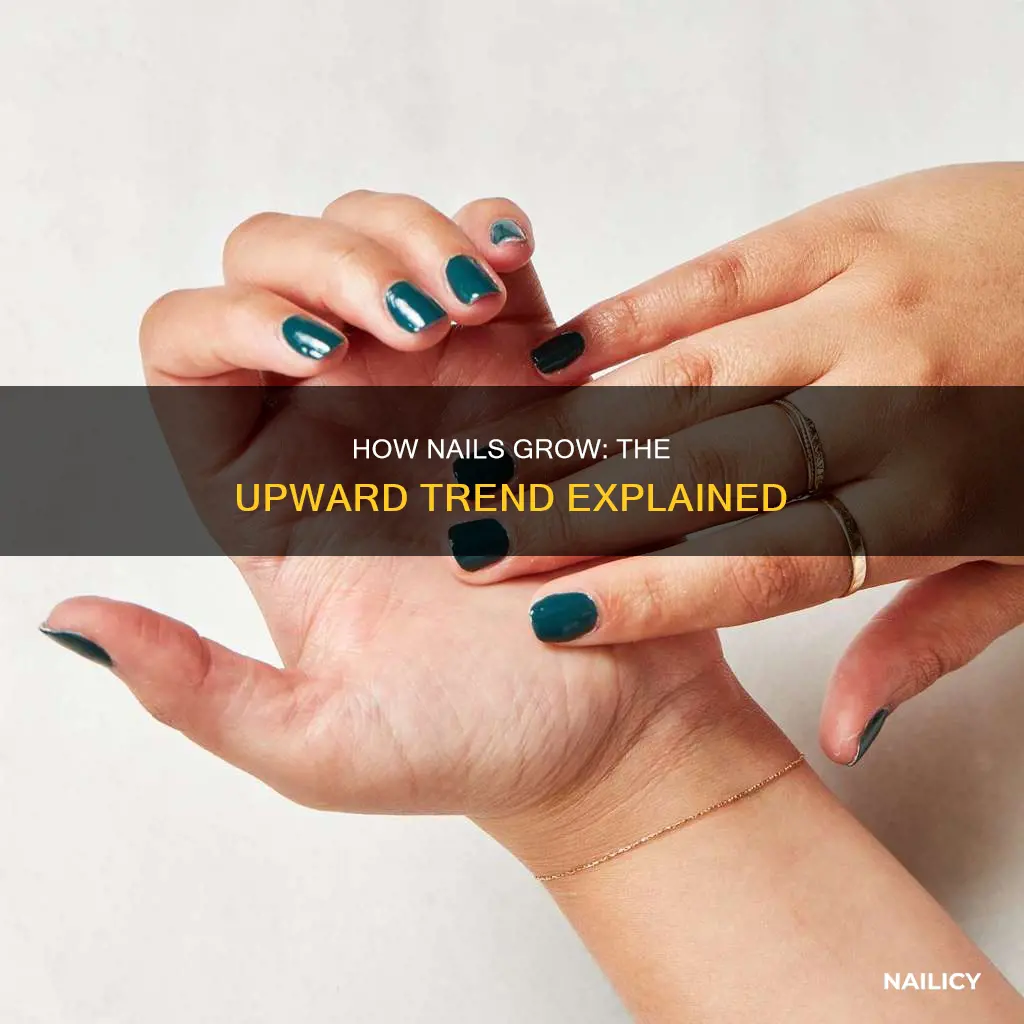 why do nails grow upward