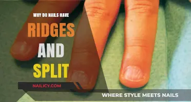 Understanding Nail Ridges and Splits: Causes, Prevention, and Solutions