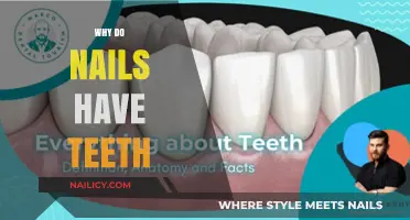 Why Do Nails Have Teeth? Unraveling the Mystery of Nail Anatomy