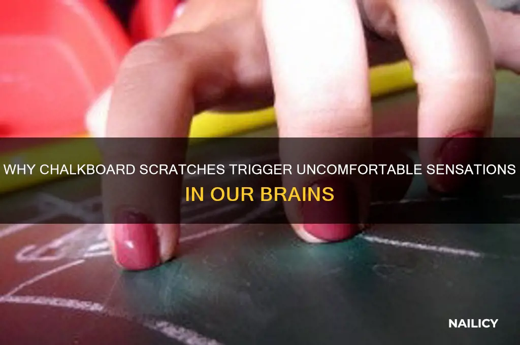 why do nails on a chalkboard hurt