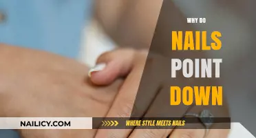 Why Do Nails Point Down? Uncovering the Practical Purpose Behind the Design