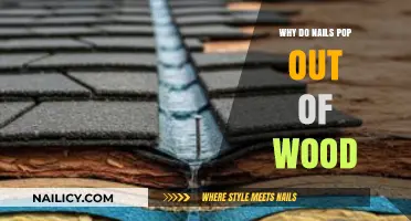 Why Nails Pop Out of Wood: Causes and Prevention Tips