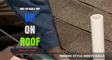 Why Nails Pop Up on Roofs: Causes and Prevention Tips