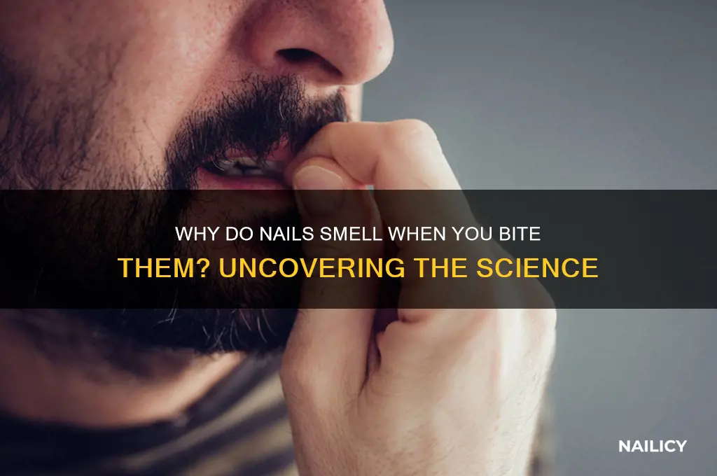 why do nails smell when you bite them
