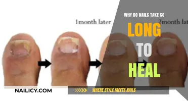 The Long Wait: Nail Healing Explained