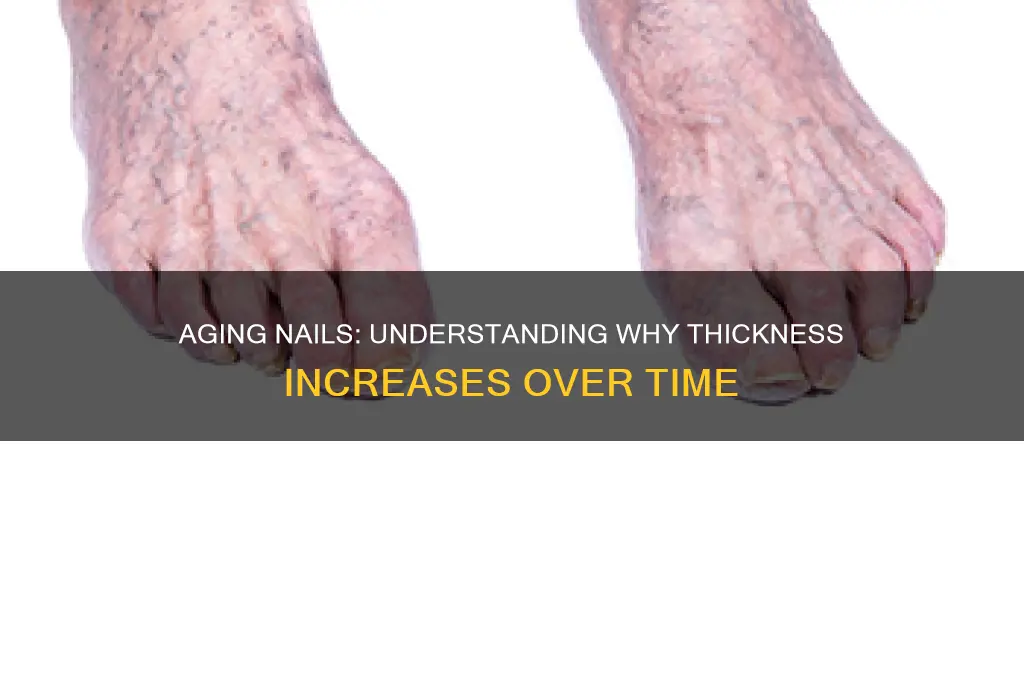 why do nails thicken as we age