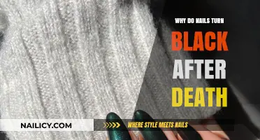 Understanding Postmortem Nail Discoloration: Why Nails Turn Black After Death