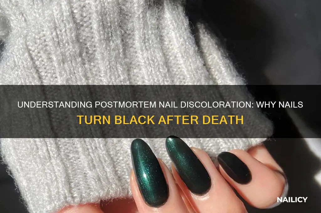 why do nails turn black after death
